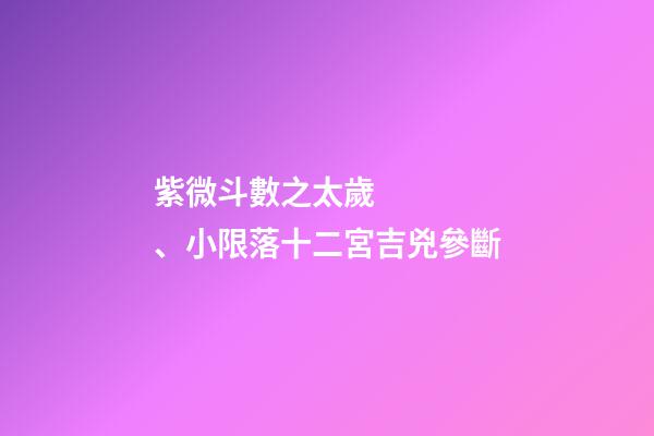 紫微斗數之太歲、小限落十二宮吉兇參斷